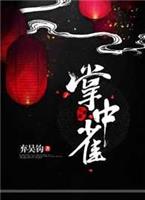 掌中云